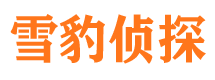 红岗市私人侦探